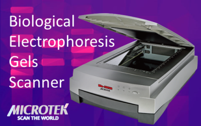 Explore the Top Biological Electrophoresis Gels Scanner – Bio-5000 Plus